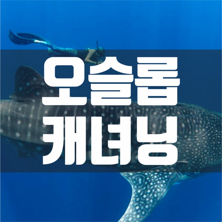  오슬롭)고래상어+투말록폭포+캐녀닝투어!! 최고의 세부남부여행!! 오슬롭캐녀닝투어!! 오캐투어!!