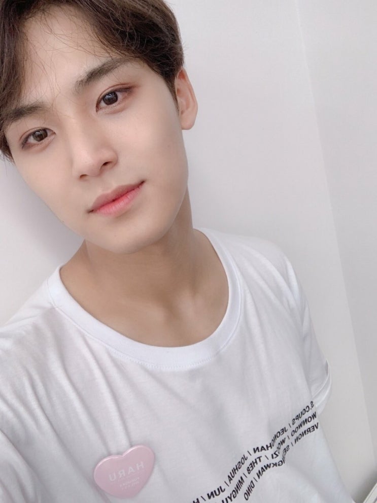  [세븐틴 빙의글/민규 빙의글] 곁에 있는 것만으로.