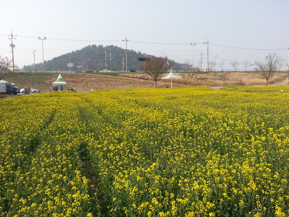 등용산 사진 3