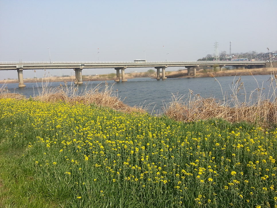 등용산 사진 5