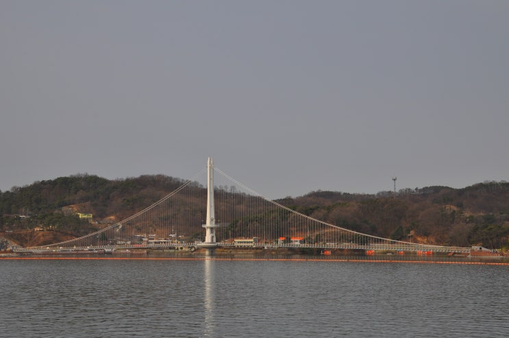  예당호출렁다리 개통했습니다