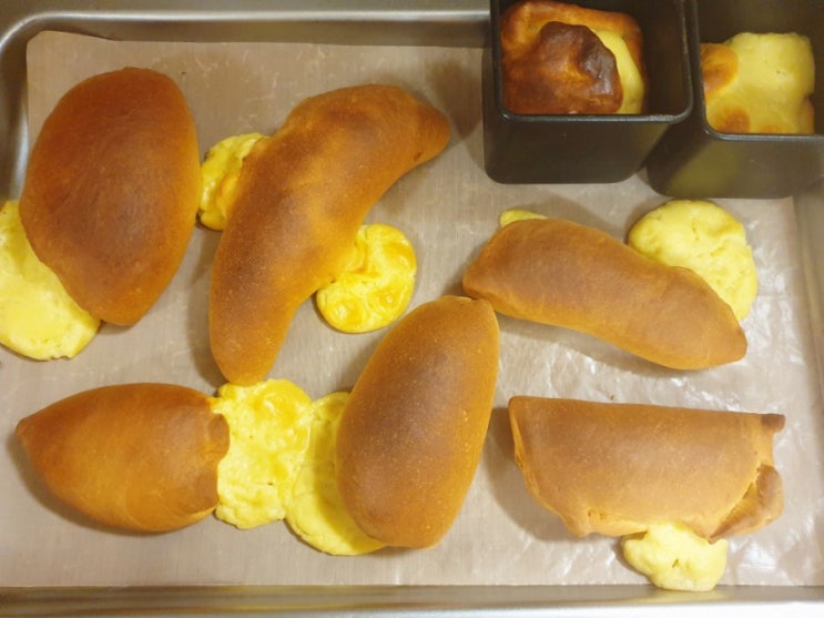  커스터드 크림빵 만들기