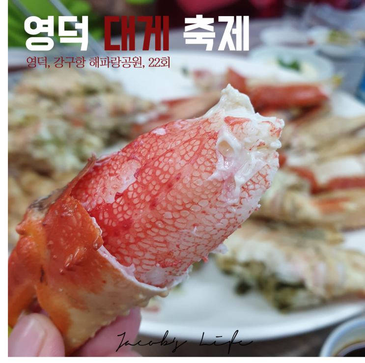  [영덕대게축제] : 대게 싸게 먹고 많이 먹은 날