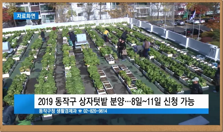  동작구 2019년 상자텃밭 분양소식!