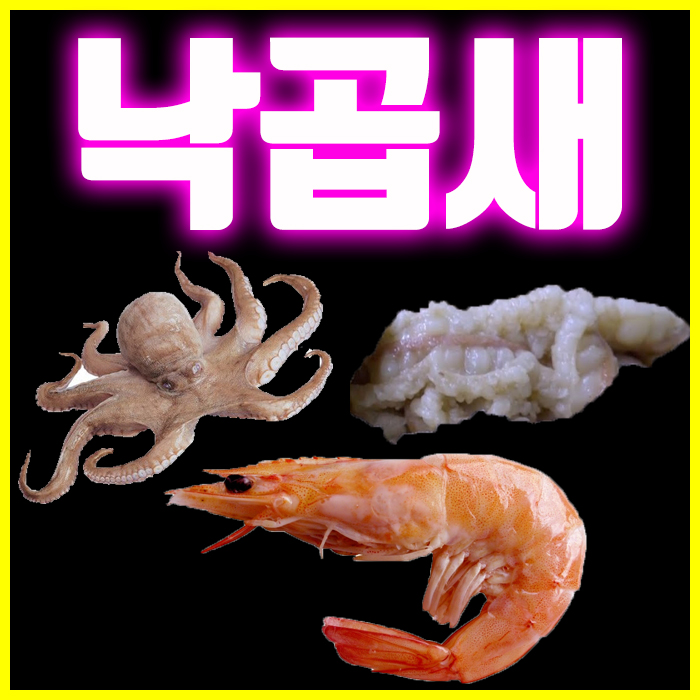  대부도 신우정 낙곱새 전골 맛집에서 낙지곱창새우를 처음 맛보다