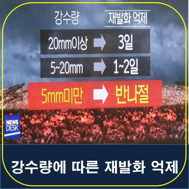  [하이웰빙]강원산불 잔불정리, 피해 눈덩이..소나무가 발화도와