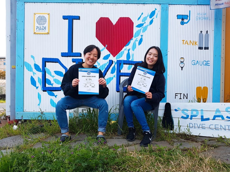 제주도 스킨스쿠버 다이빙 PADI오픈워터 과정