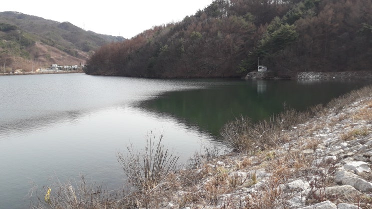  포천 일동 청계저수지 배스 탐사! 낚시인가?등산인가?