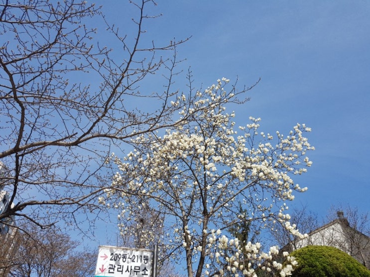  [Diary] 오늘은 진짜 도서관