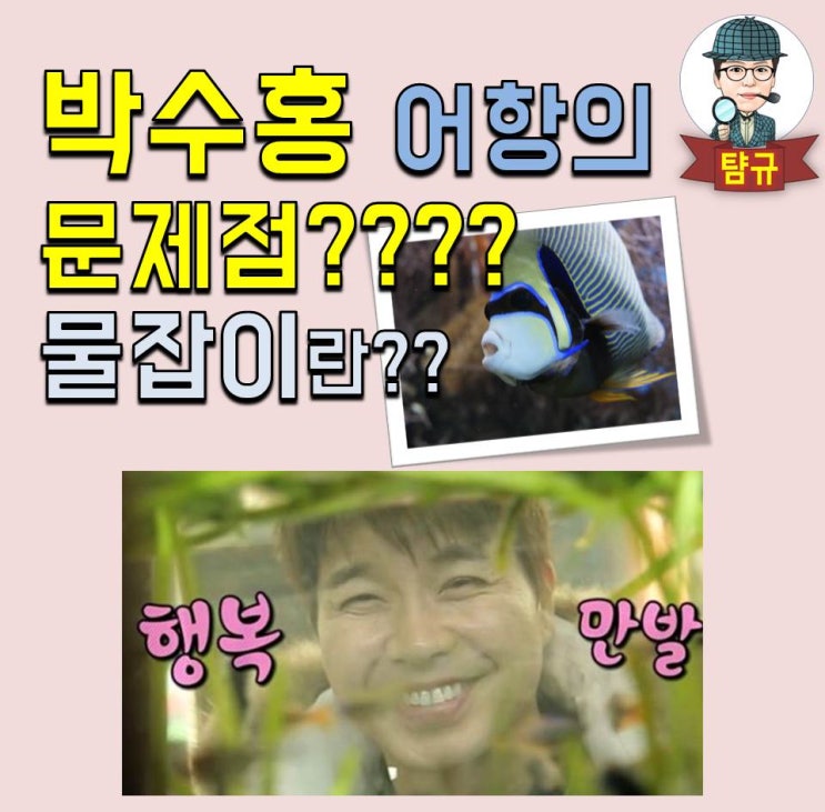  박수홍 어항의 문제, 물잡이?