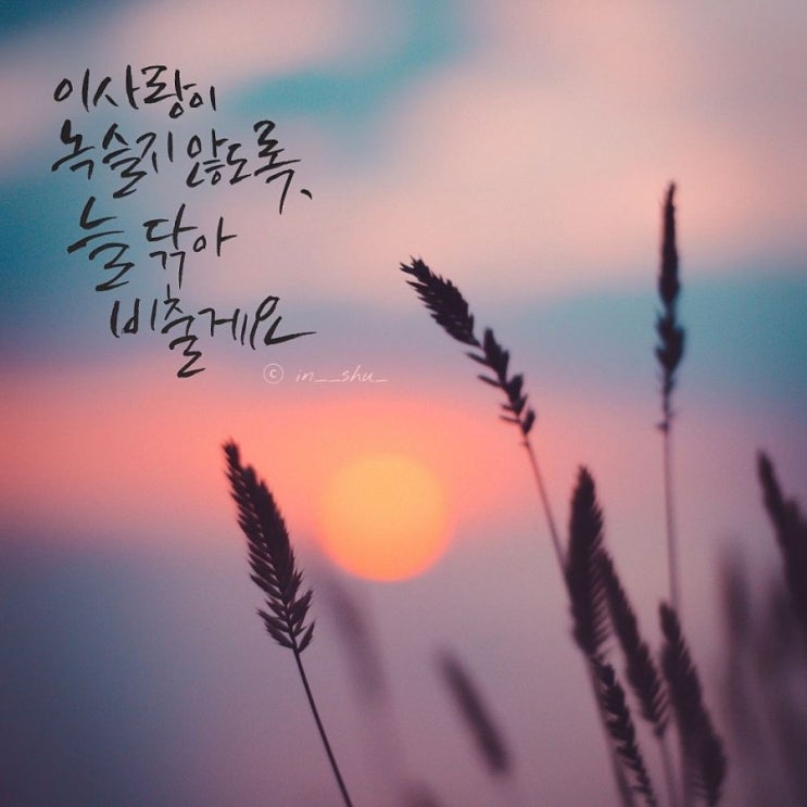  네번째 캘리이야기 <붓펜 배경사진.3>