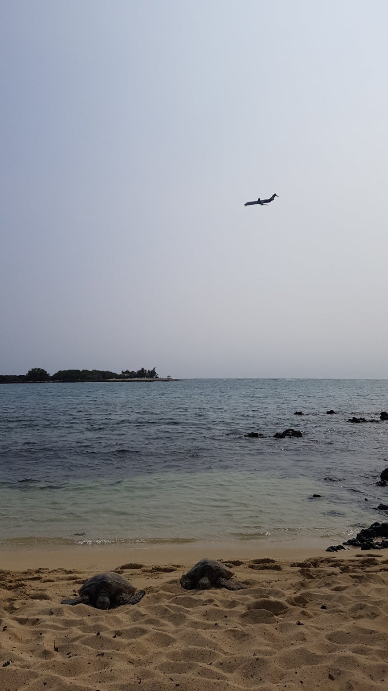 하와이 빅아일랜드 Big Island 자유여행 3박4일 (3), 2018년, 마하이울라비치 Mahaiula Beach : 네이버 블로그, image size:800x1423