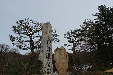 성지로스 이미지