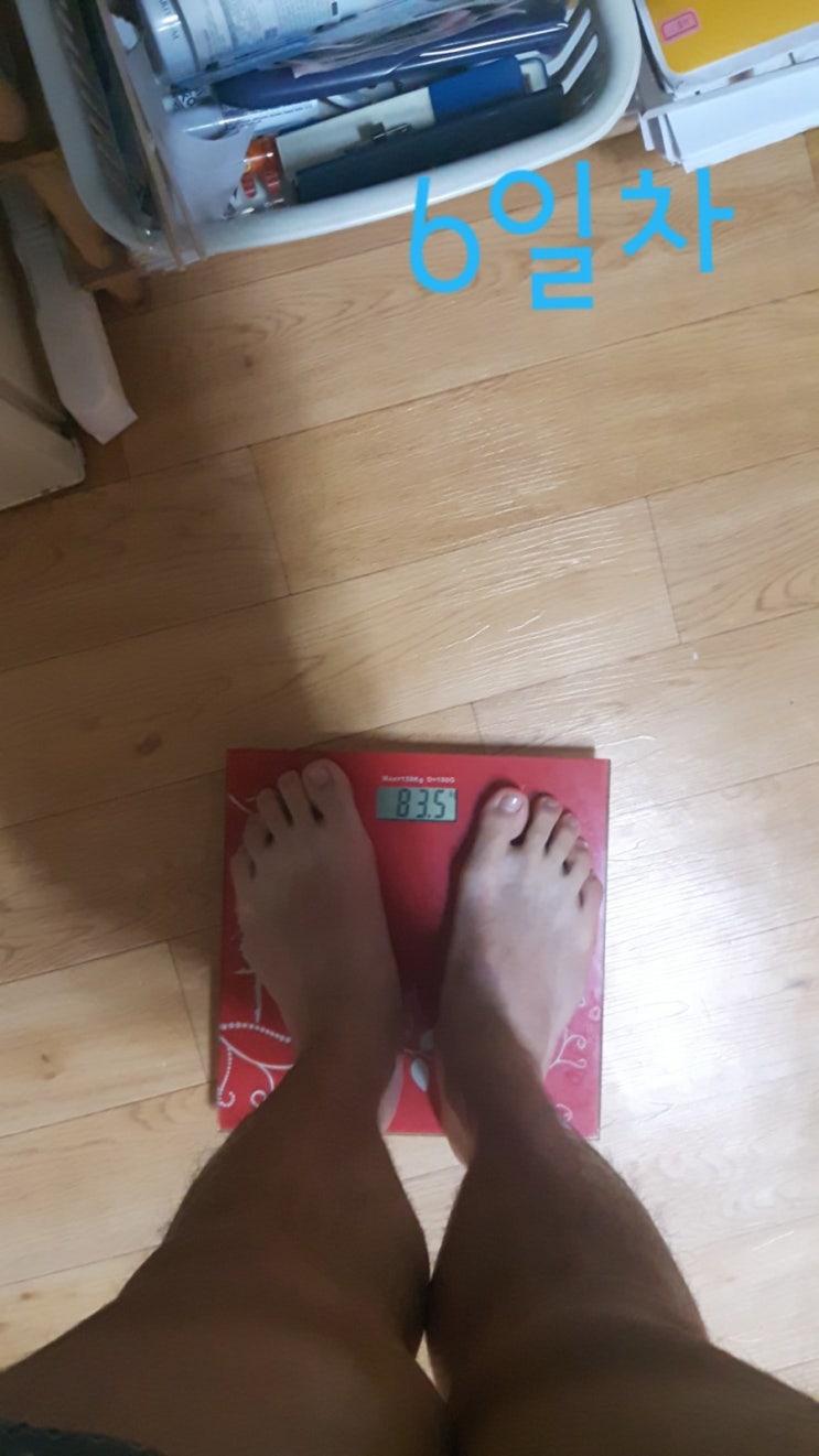  #6 간헐적 단식 90일 프로젝트 : 드디어 1kg 감량