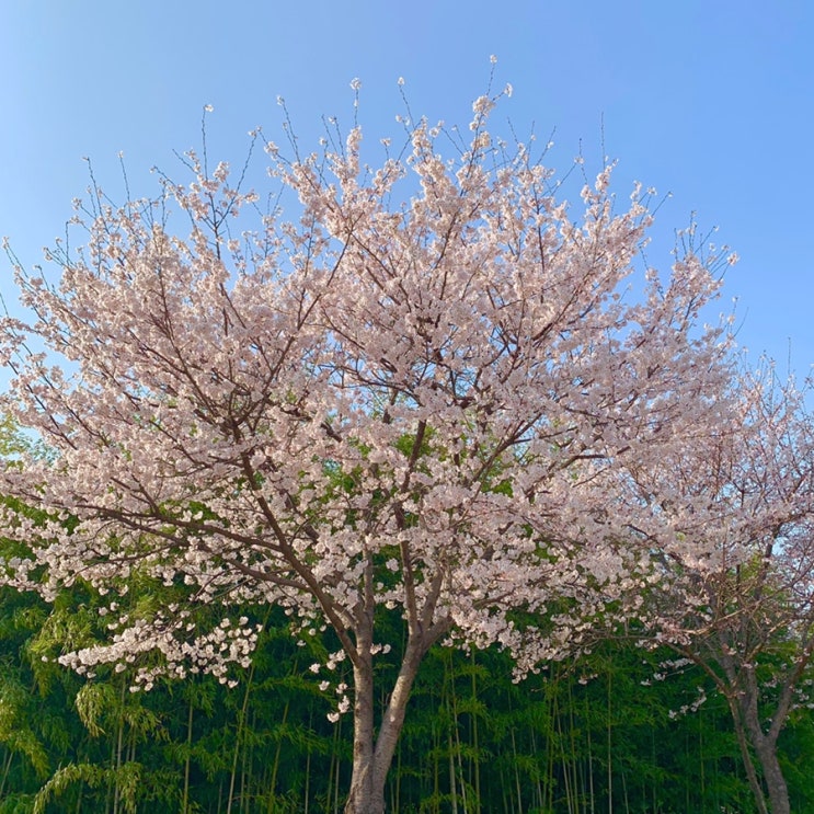  휴학일기 <4월>