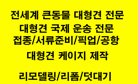 강아지해외여행[강아지대형견운송검역]출국동반이송운송고양이애견출입국아시아나대한항공동반기내수하물