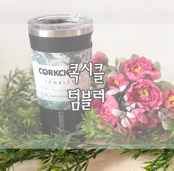  최화정 텀블러 스테인리스 텀블러 콕시클 직장인 남편 선물 