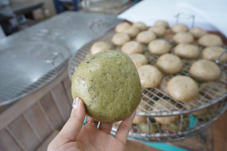  제주빵집 보리빵마을 빵지순례 공항근처맛집