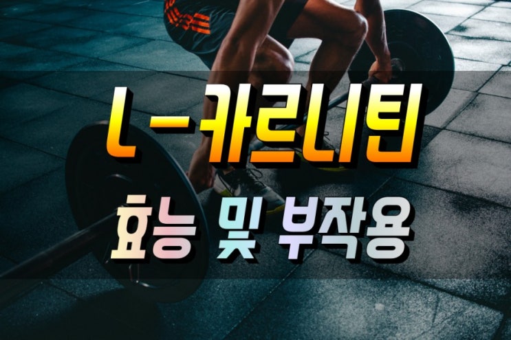  다이어트 효능이 뛰어난 L-카르니틴 (L-Carnitine) 집중탐구