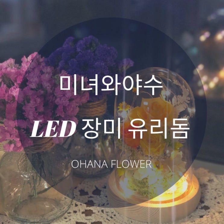 [부산프리저브드플라워] 인기의 옐로우 LED 장미 유리돔 여친선물 기념일선물 시들지않는꽃 프리저브드플라워 수영 광안 전문공방 오하나플라워