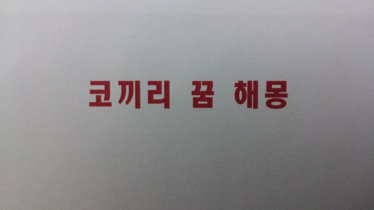  코끼리꿈해몽 코끼리 태몽 코끼리한테 쫓기는 꿈