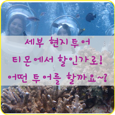  티몬에서 세부 선셋크루즈 현지투어 할인가로! 어떤 투어를 할까요~?