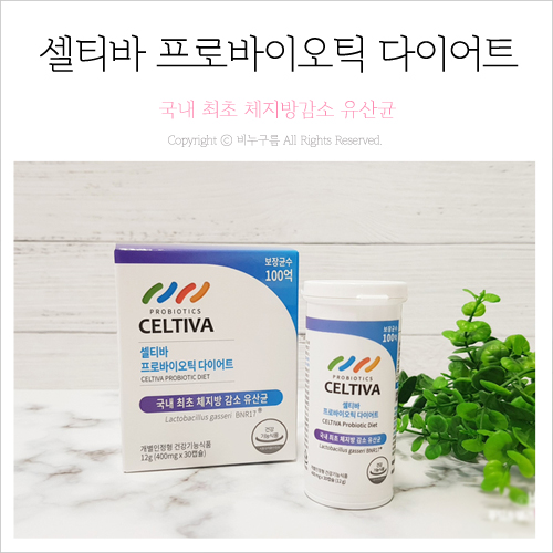  셀티바 프로바이오틱 다이어트 유산균으로 체지방감소까지! 모유유산균 추천해요