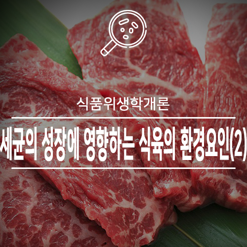  [식품위생학개론]세균의 성장에 영향하는 식육의 환경요인(2)