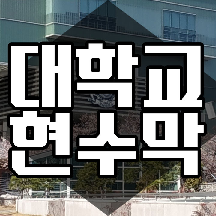  꿈과 낭만이 가득한곳 대학교현수막제작설치 함께보실까요?