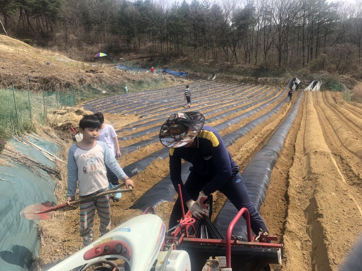  주말 아이들 미션 성공!!!!게임 1시간 벌기 성공~~