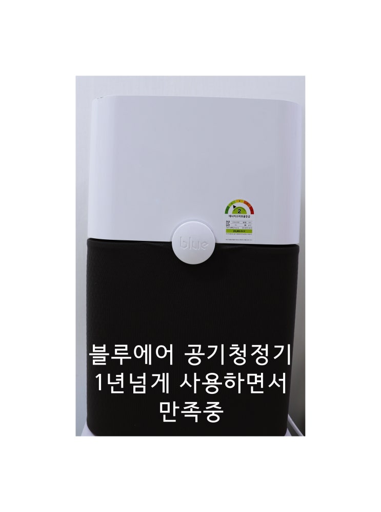  반려견을위한공기청정기추천 블루에어211 파티클필터 블루에어 퓨어211공기청정기 미세먼지느껴지는 블루에어공기청정기