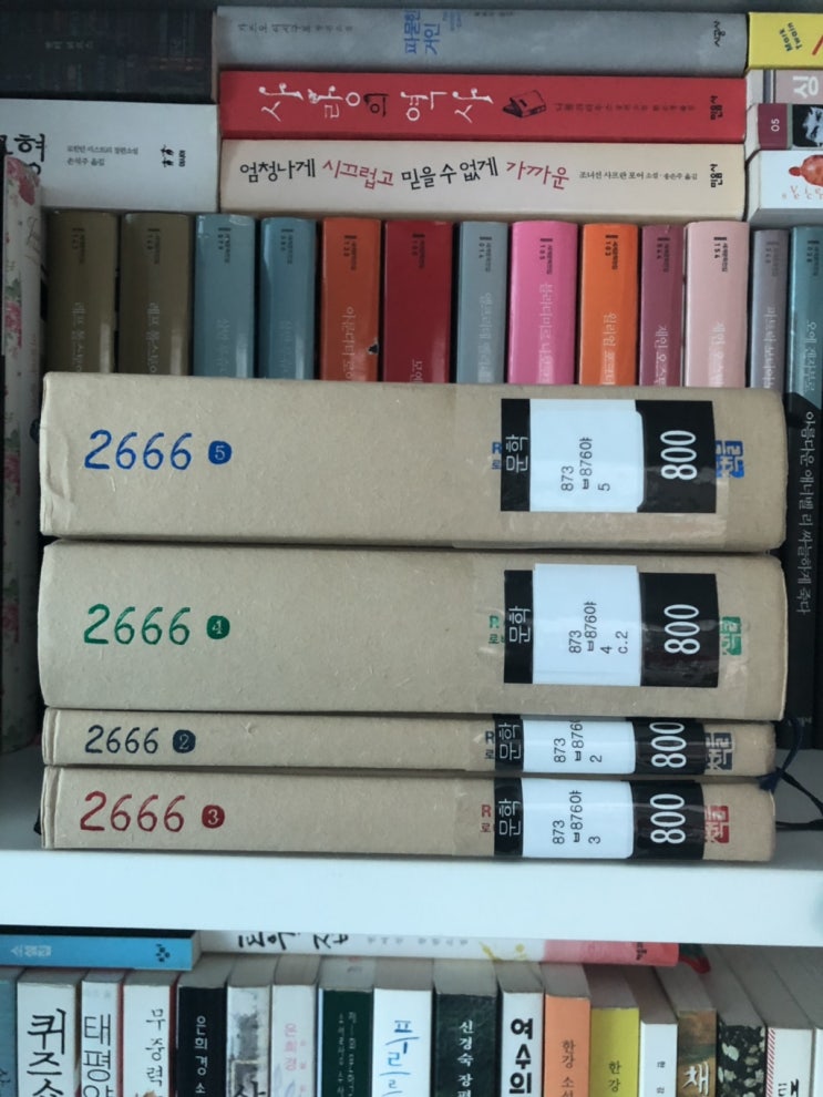  2666, 한 달 간 하나의 소설을 읽었습니다