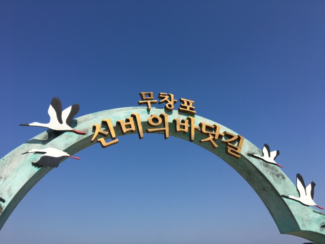  서천, 보령 여행 / 주꾸미, 동백나무, 성주산자연휴양림