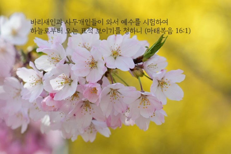  하늘의 표적만 구한다면