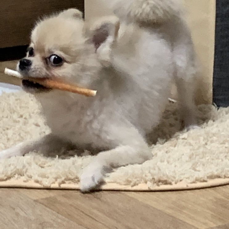  ~190413 일상