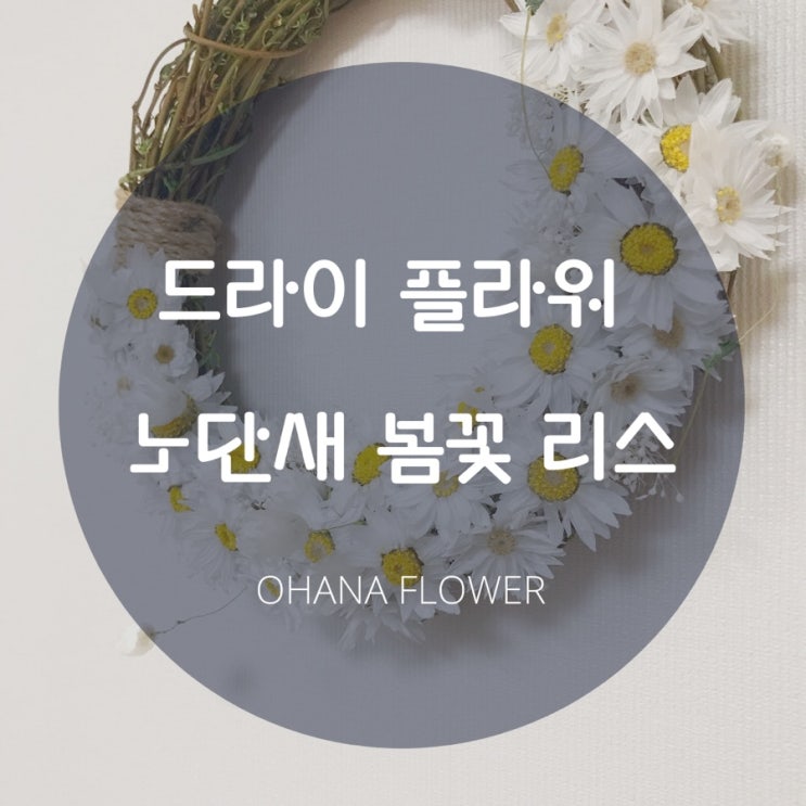  [부산드라이플라워] 영원한사랑의 노단새리스 리스의미 수영광안 드라이플라워 실내인테리어 집꾸미기