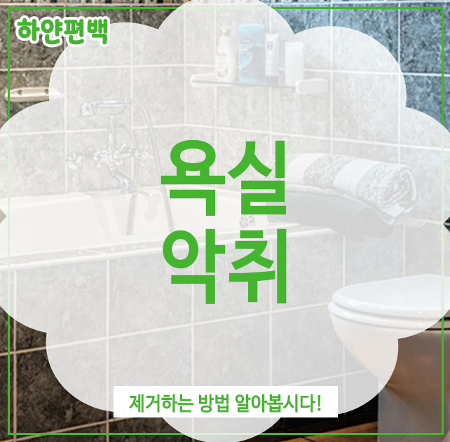  욕실악취, 제거하는 방법 알아봅시다!