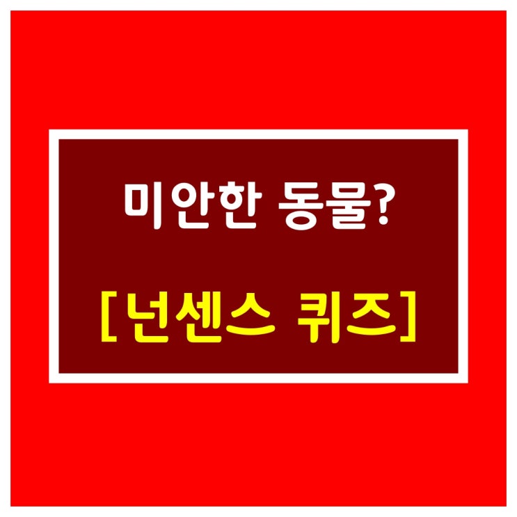  위트랜드 퀴즈[미안한동물]