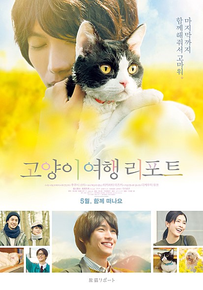  [시사회]<고양이 여행 리포트> 고양님의 메소드 연기 굿!!!