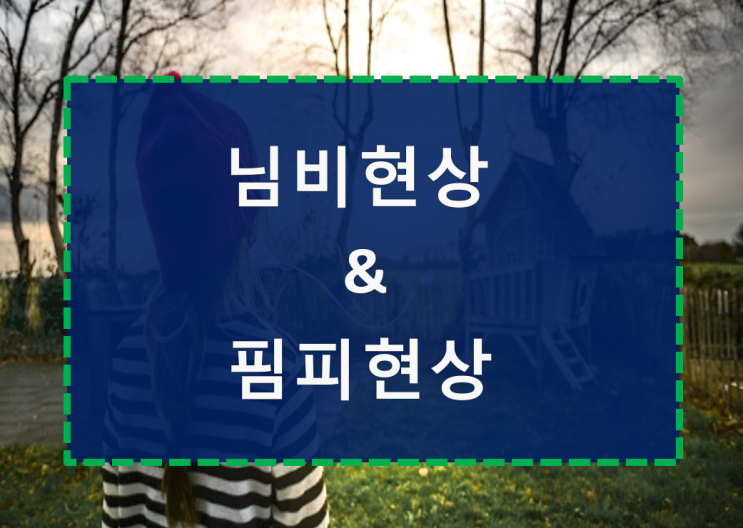  님비현상, 핌피현상
