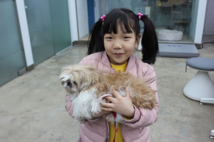  넬 안양동물병원 강아지 밤비와 다녀왔어요^^* 