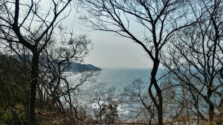  0405 아난티,(현대바이오),(에이프로젠KIC)