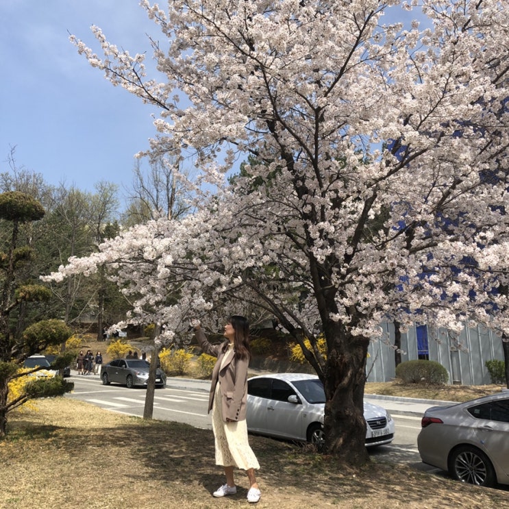  2019.04.08 - 04.14