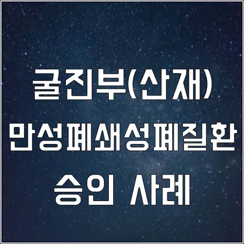  광산 굴진부 만성폐쇄성폐질환 장해등급 판정 승인 사례 (폐질환 장해7급 산재)