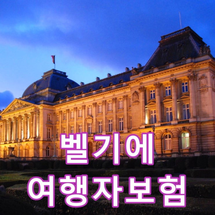  벨기에 브뤼셀 여행 준비(feat. 여행자 보험, 추천 관광지)