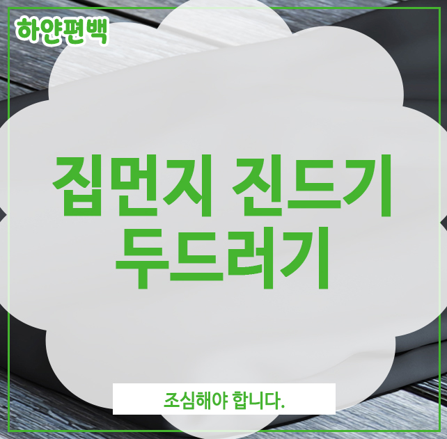 집먼지 진드기 두드러기, 조심해야 합니다.