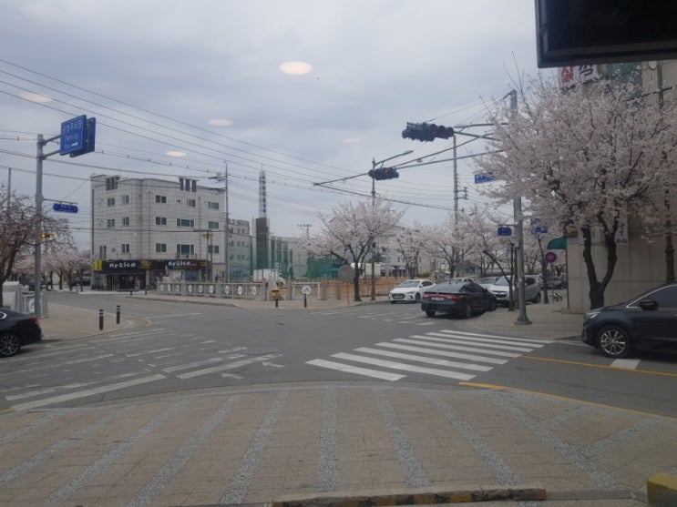  한 순간의 아름다움