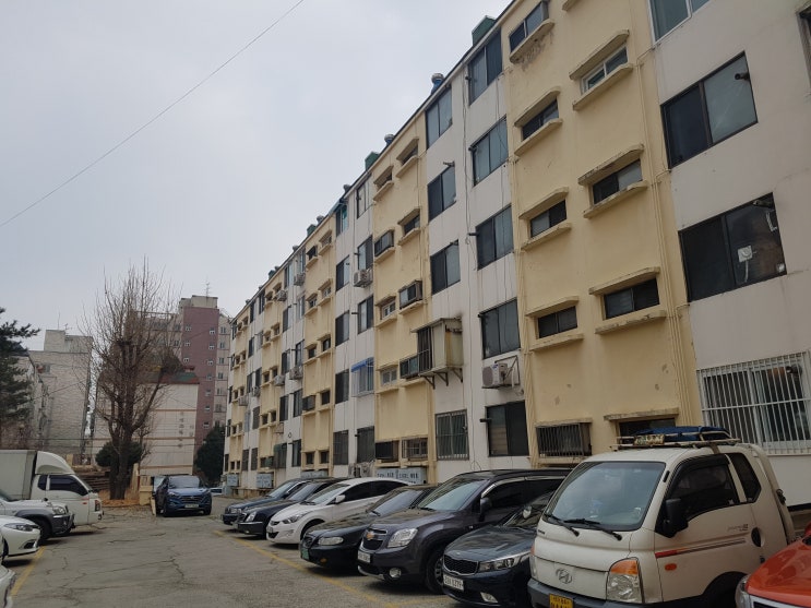  삼덕진주아파트 19평형 4층 매매가 13000만 공실
