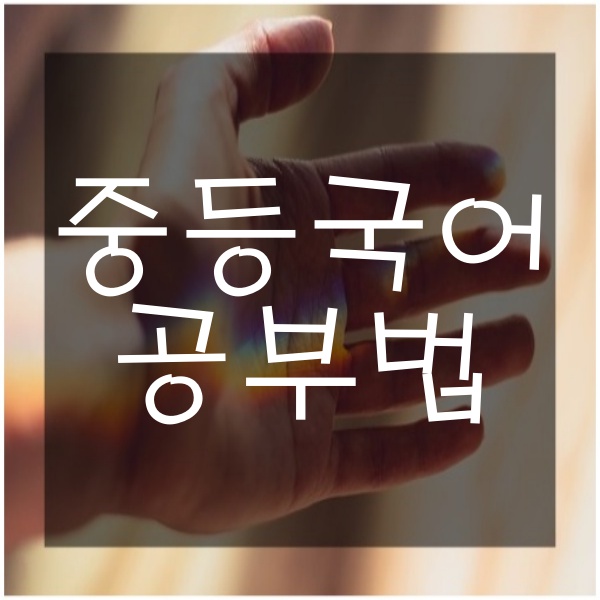  중등 국어 잘하는 공부법 고등 국어 미리 준비하는 공부 방법