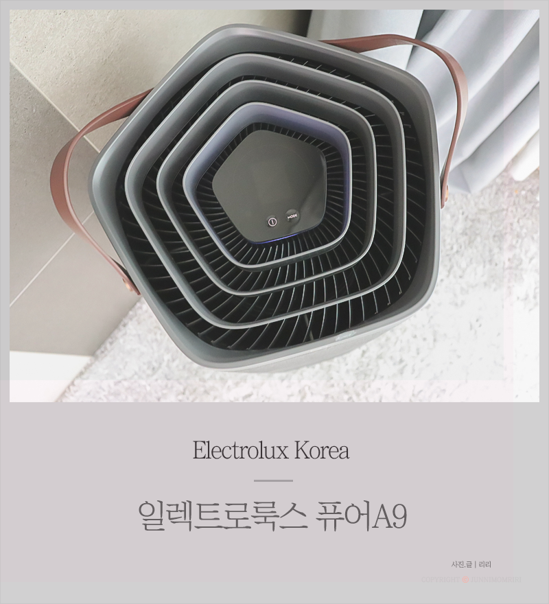 공기청정기 일렉트로룩스 퓨어A9 한달 사용 솔직한 이야기